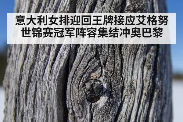 意大利女排迎回王牌接应艾格努 世锦赛冠军阵容集结冲奥巴黎