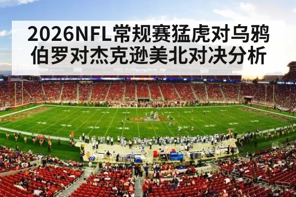 american football stadium night crowd